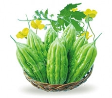KHỔ QUA BG - 228