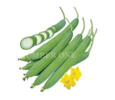 MƯỚP HƯƠNG SL-389
