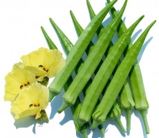 ĐẬU BẮP OK - 002