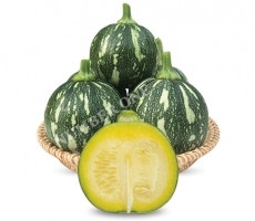 BÍ ĐỎ ĂN NON  PK - 006